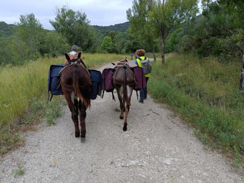 En chemin