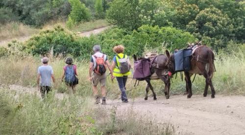 En chemin